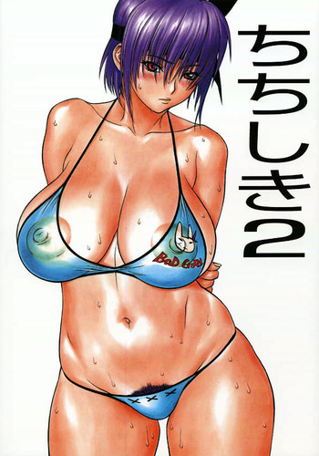 Chichi Shiki 2の表紙画像