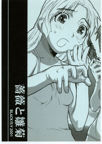 薔薇と雛菊の表紙画像
