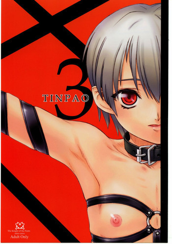 TINPAO3の表紙画像