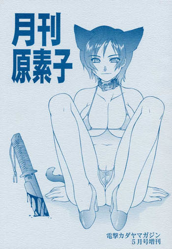 月刊原素子の表紙画像