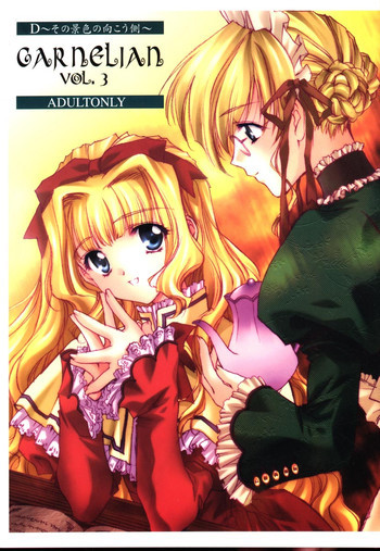 CARNELIAN vol.3 D～その景色の向こう側～の表紙画像