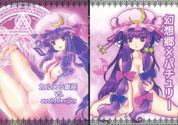 幻想郷×パチュリーの表紙画像