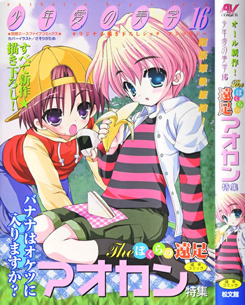 少年愛の美学16 Theぼくらの遠足の表紙画像