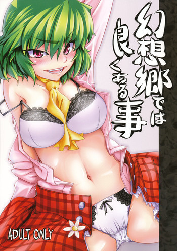 幻想郷では良くある事の表紙画像