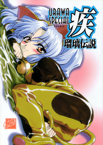 浦和SPECIAL 疾瑠璃伝説の表紙画像