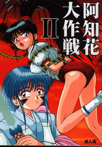 阿知花大作戦IIの表紙画像