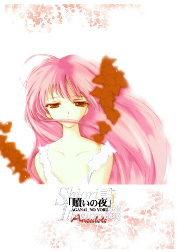 詩織 贖いの夜の表紙画像