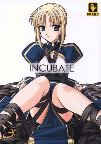 INCUBATEの表紙画像