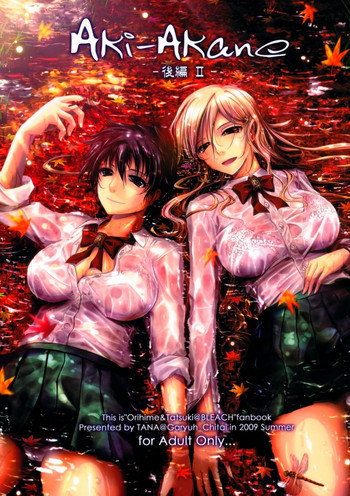 Aki-Akane 後編 IIの表紙画像