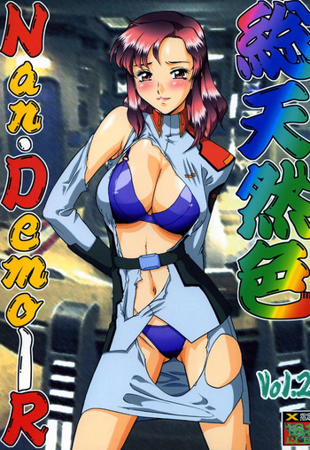 総天然色Vol.2 Nan・Demo-Rの表紙画像