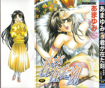 君が在た刻の表紙画像