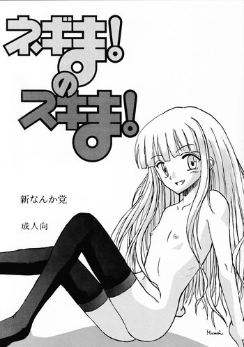 ネギま！のスキま！の表紙画像