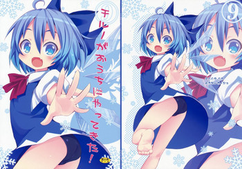 チルノがおうちにやってきた!の表紙画像