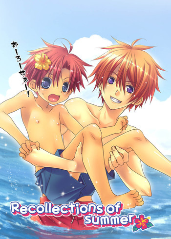 Recollections of summerの表紙画像