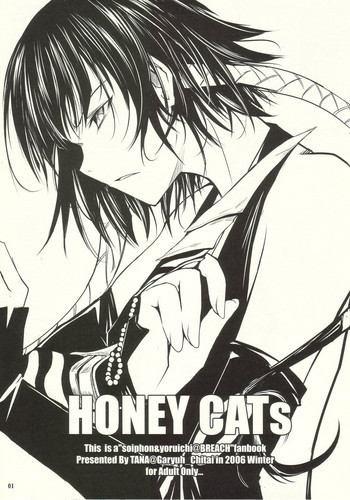 HONEY CATsの表紙画像