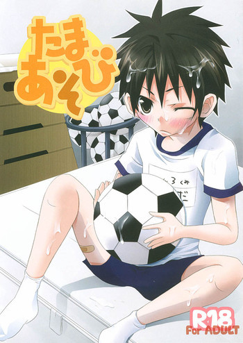 たまあそびの表紙画像