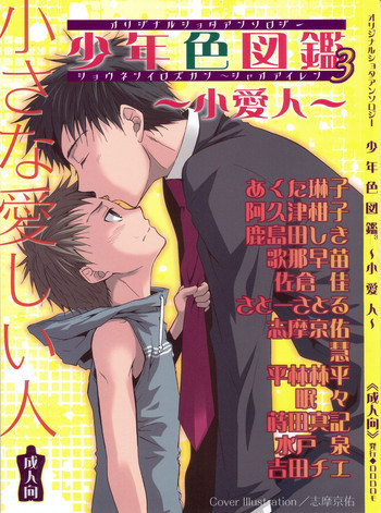 少年色図鑑 3 ～小愛人～の表紙画像