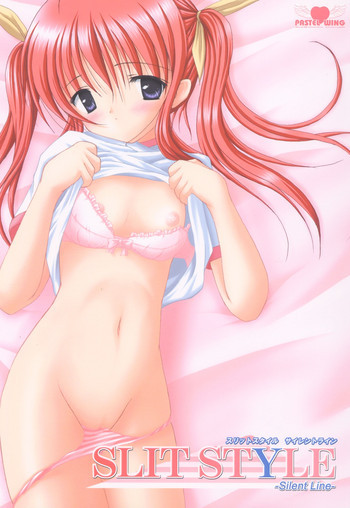 スリットタイル サイレントラインの表紙画像
