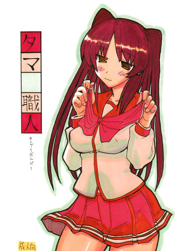 タマ職人の表紙画像
