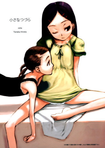 小さなつづらの表紙画像