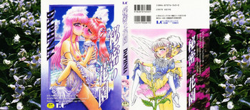 秘密の花園の表紙画像