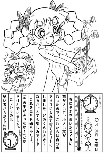 PPGZの表紙画像