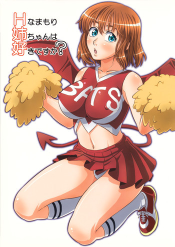 Hなまもり姉ちゃんは好きですか?の表紙画像