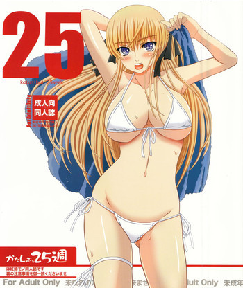 かたしぶっ 25週の表紙画像