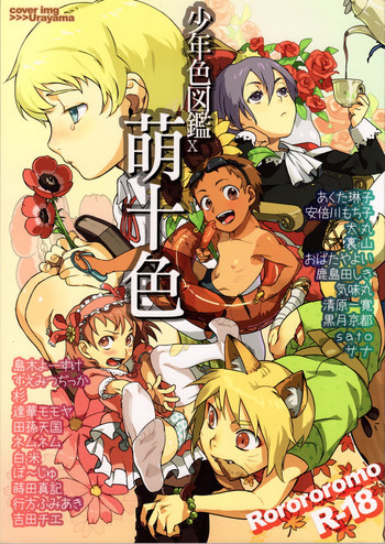 少年色図鑑10 ～萌十色～の表紙画像