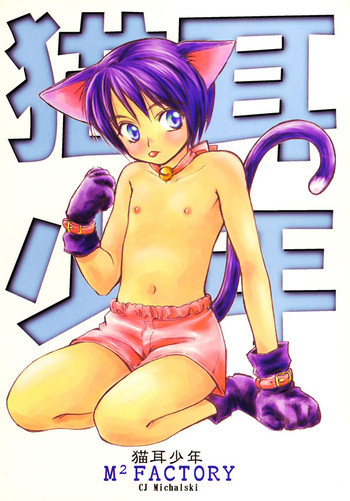 猫耳少年の表紙画像
