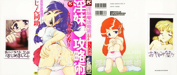 淫妹・攻略術の表紙画像