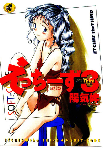 えっちーず 3の表紙画像