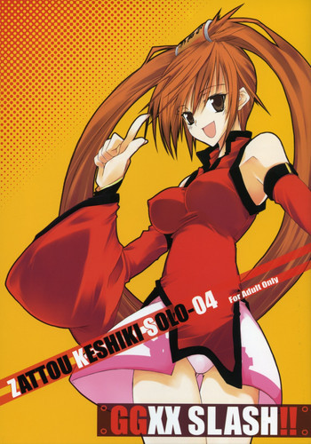ZATTOU KESHIKI SOLO-04の表紙画像