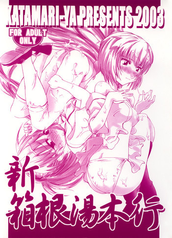 新箱根湯本行の表紙画像