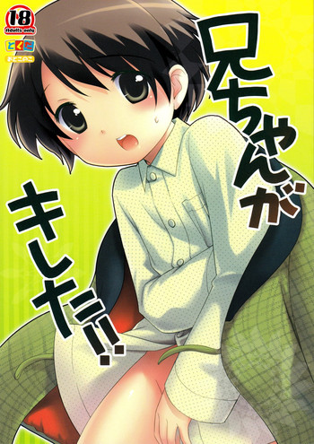 兄ちゃんがきれた!!の表紙画像