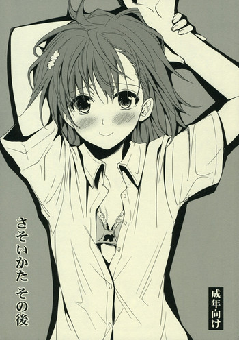 さそいかた その後の表紙画像