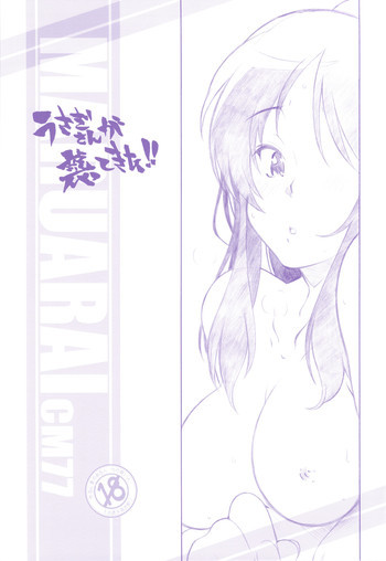 うさぎさんが襲ってきた!!の表紙画像