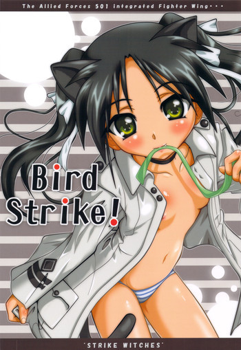 Bird Strike!の表紙画像