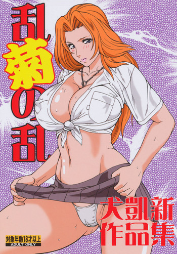 乱菊の乱の表紙画像
