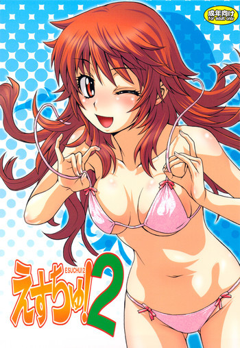 えすちゅ!2の表紙画像