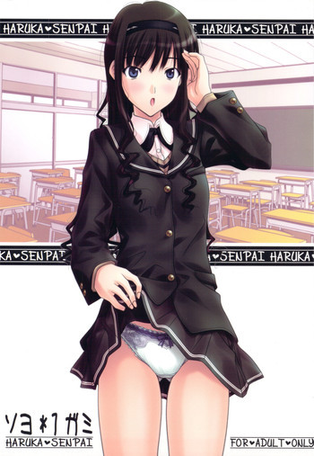 ソヨ*1ガミの表紙画像