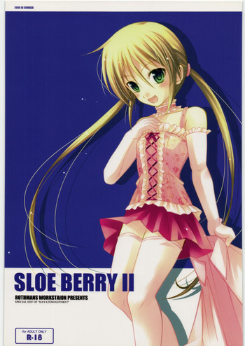 SLOE BERRY IIの表紙画像