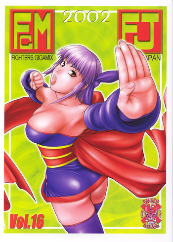 FIGHTERS GIGAMIX FGM vol.16の表紙画像