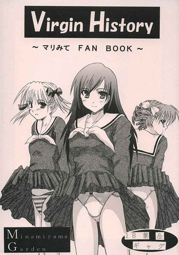 Virgin Historyの表紙画像