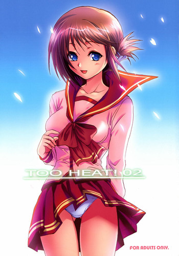 TOO HEAT!02の表紙画像