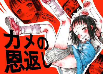 カメの恩返しの表紙画像