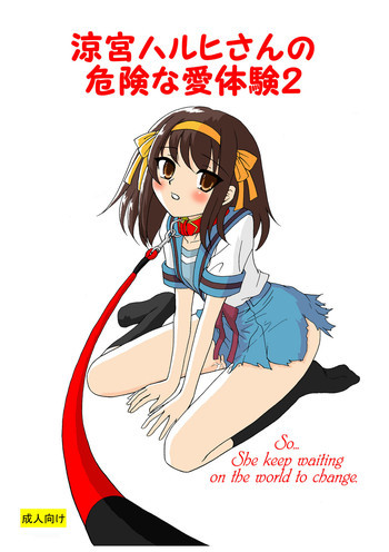 涼宮ハルヒさんの危険な愛体験2の表紙画像
