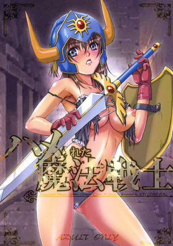 ハメられた魔法戦士の表紙画像