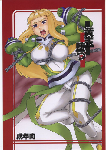 黄玉堕つの表紙画像