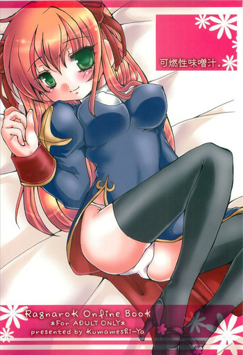 可燃性味噌汁。の表紙画像